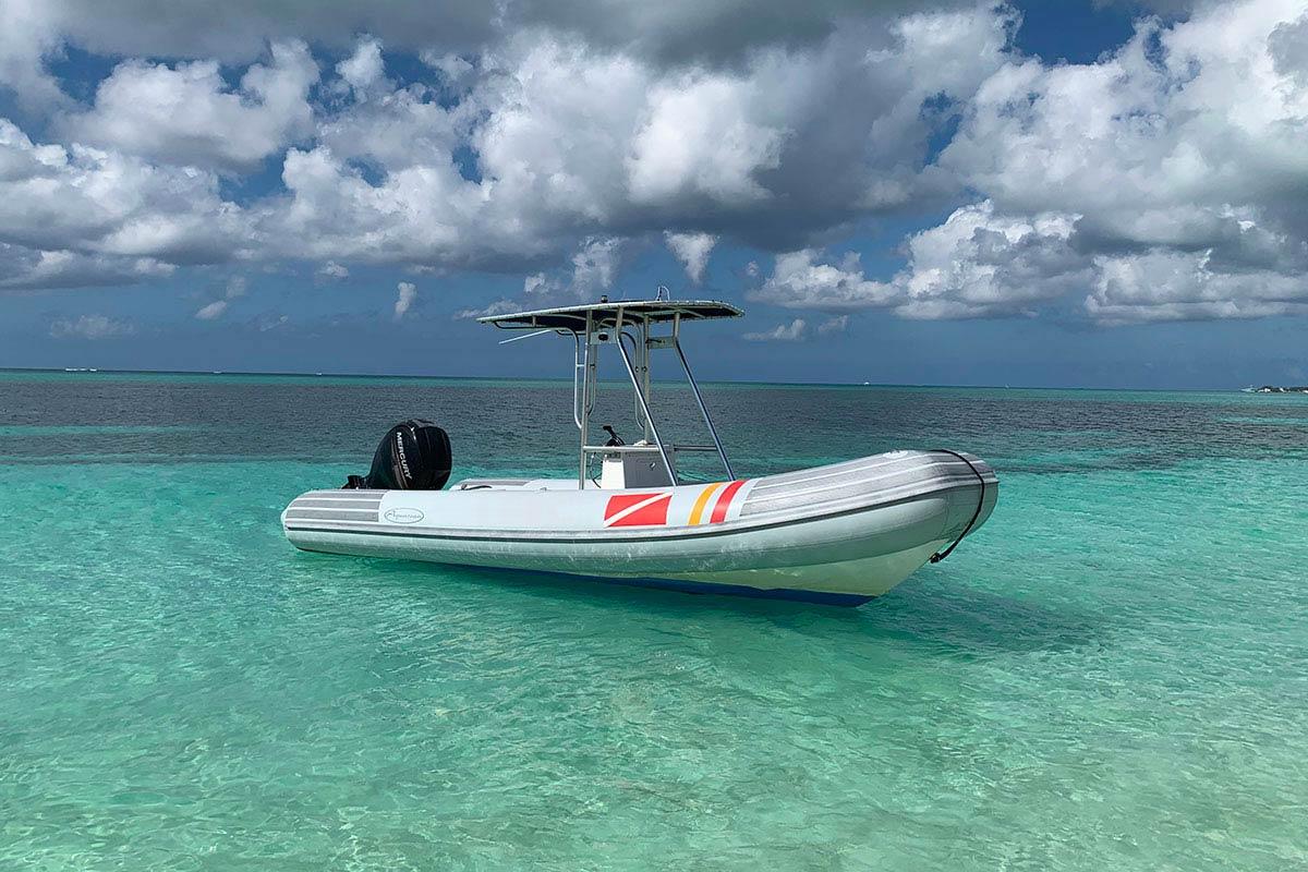 boating and waterskiing
